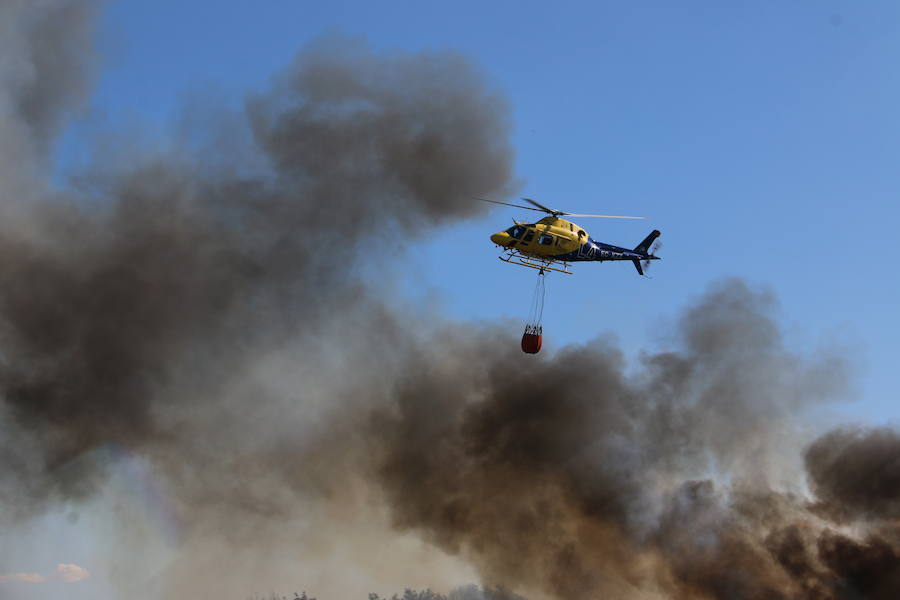 El fuego se ha originado minutos antes de las 16:21 horas en la calle de Valdeperal que conecta el Real Aéreo Club con la carretera del matadero en el polígono industrial de Trobajo del Camino, concretamente en la parte trasera de la vacía factoría de Everest, que se ha visto seriamente amenazada por las llamas