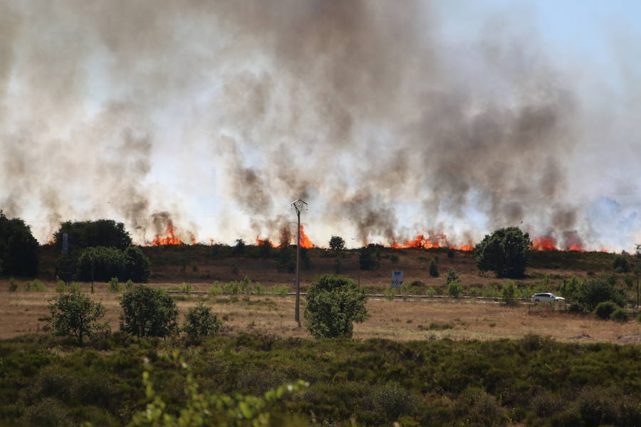 Oteruelo también se ha visto en vuelto en llamas. El incendio que se originó en la tarde de este jueves en el polígono industrial de Trobajo del Camino y en cuya extinción trabajan numerosos medios aéreos y terrestres, ha alcanzado la pedanía de la capital leonesa y se ha aproximado peligrosamente a las viviendas