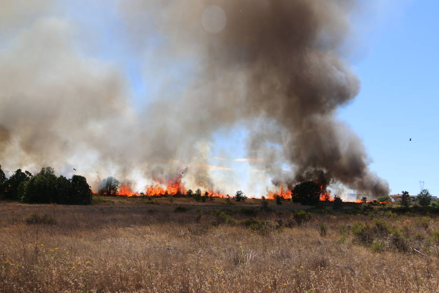 Oteruelo también se ha visto en vuelto en llamas. El incendio que se originó en la tarde de este jueves en el polígono industrial de Trobajo del Camino y en cuya extinción trabajan numerosos medios aéreos y terrestres, ha alcanzado la pedanía de la capital leonesa y se ha aproximado peligrosamente a las viviendas