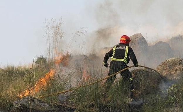 Pedirán al menos un camión de bomberos.