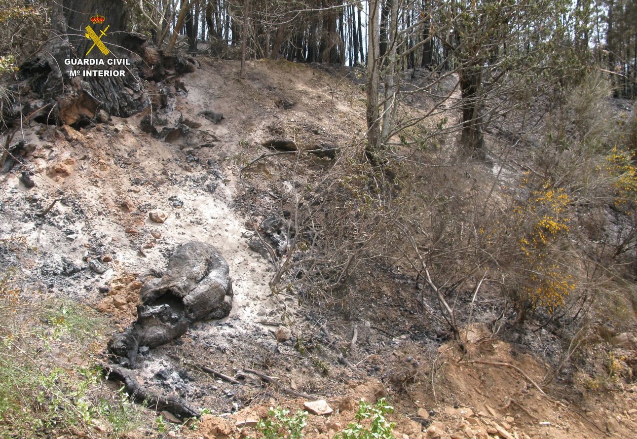 Imagen de uno de los escenarios del fuego.