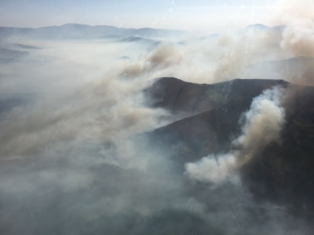 El fuego afecta principalmente a una zona de matorral, pero es una zona escarpada y de acceso complicado que dificulta las labores de extinción | El fuego, de carácter intencionado y que se localizó en Losadilla, localidad perteneciente a Encinedo, está fuera de control