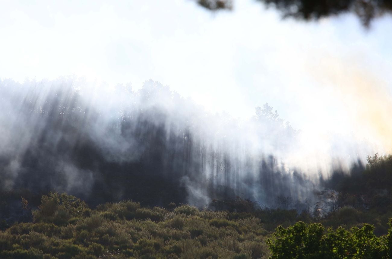 La ceniza caída del cielo y la intensa humareda visible desde varios kilómetros de distancia marcan el despertar de los pueblos afectados por el incendio de nivel 2 que afecta a los municipios leoneses de Truchas y Encinedo