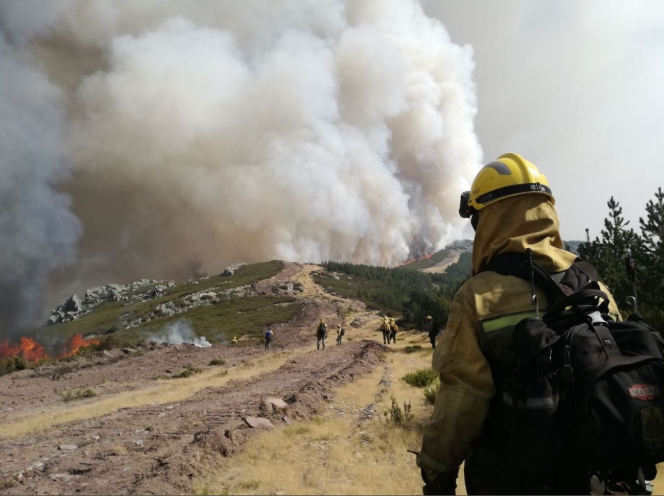 El presidente de la Junta de Castilla y León acude a la 'zona cero' del incendio de La Cabrera.