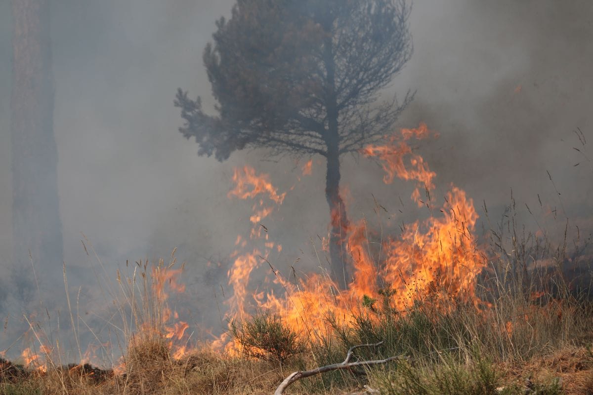 Humo, fuego y cenizas en La Cabrera