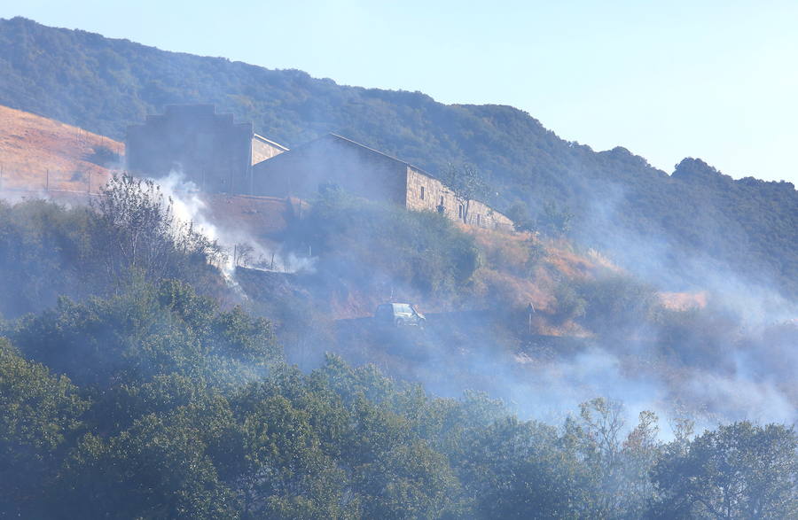 Borrenes, en alerta