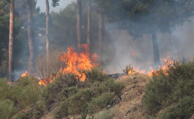 Imagen del incendio de Encinedo.