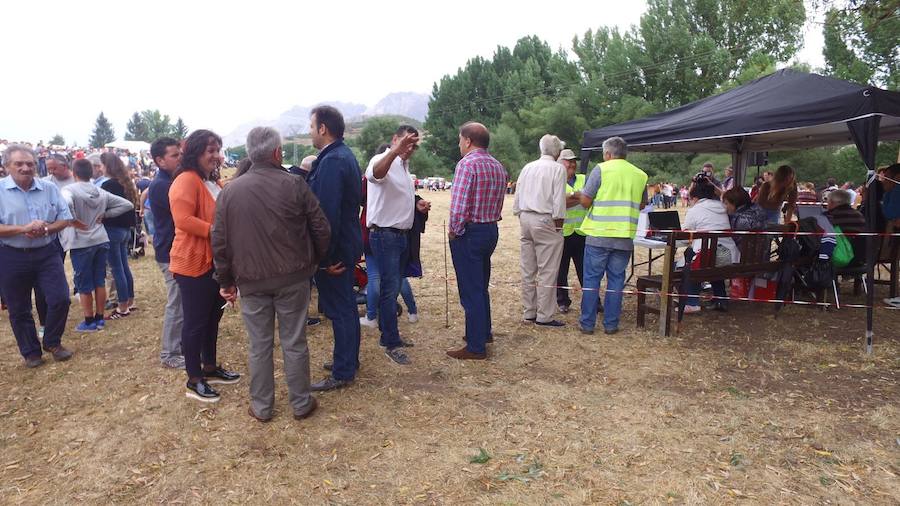 Hispano Bretón, una raza de montaña