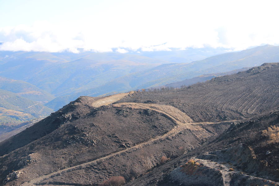 La Cabrera, la desolación tras el fuego