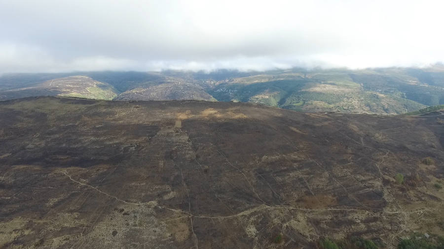 La Cabrera, la desolación tras el fuego