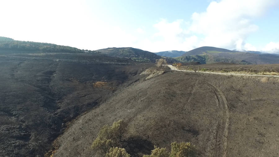 La Cabrera, la desolación tras el fuego