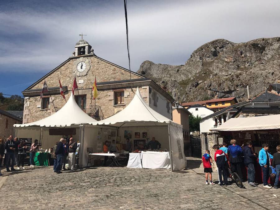 Feria Tradicional Cristo de Lugueros