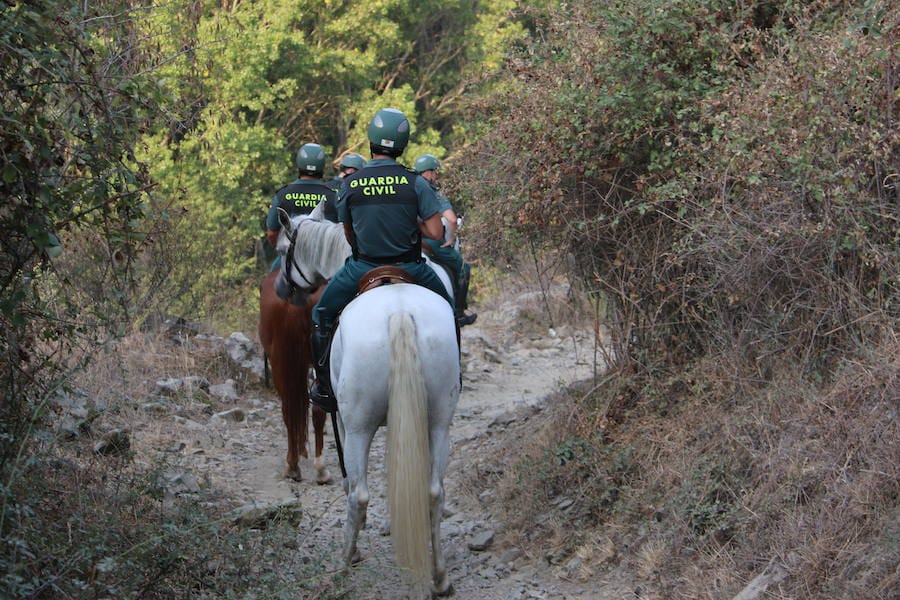 La encomiable labor de Caballería