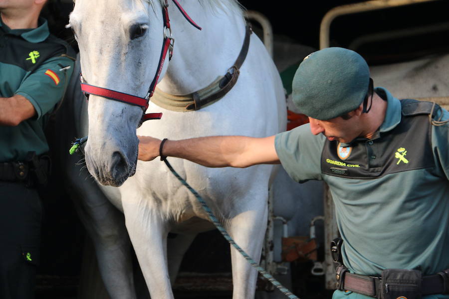 El caballo, mejor amigo de la Guardia Civil