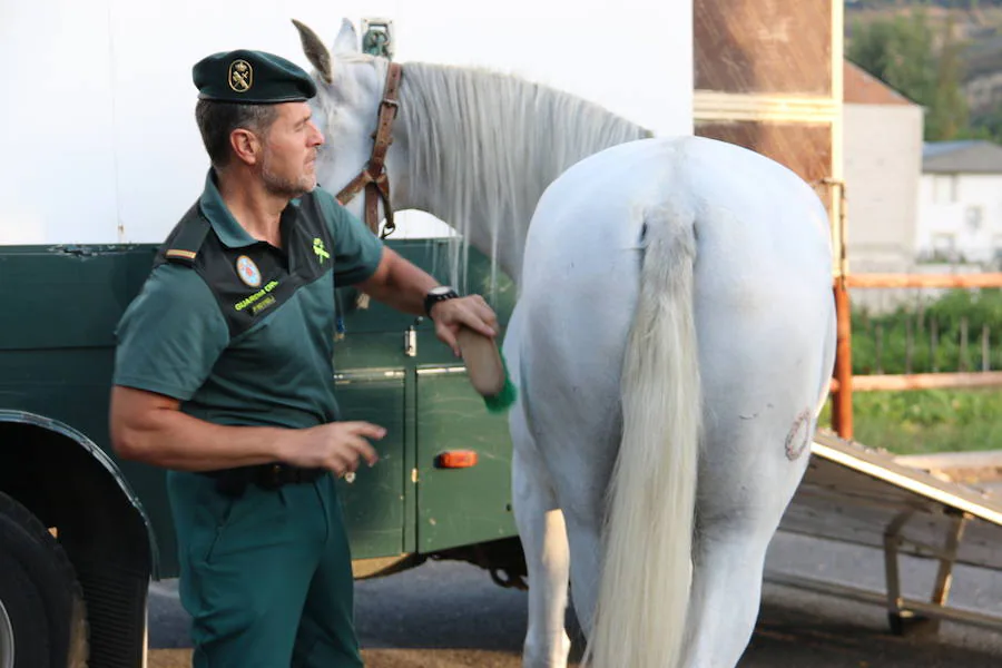 El caballo, mejor amigo de la Guardia Civil