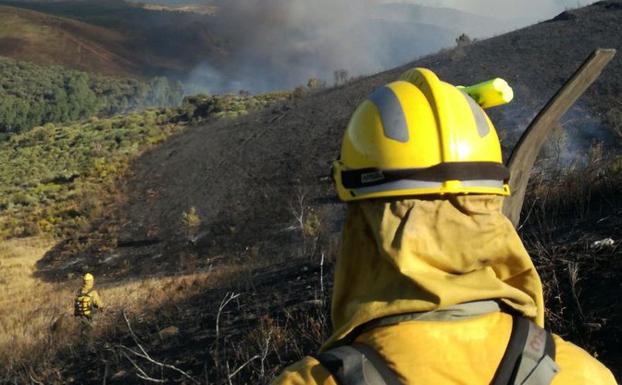 Un bombero sofocando un incendio foresta.