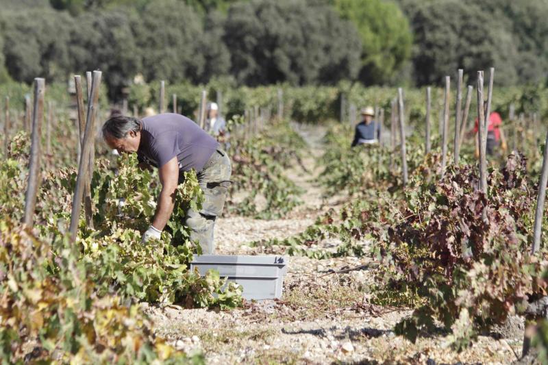 Fotos: El general Manuel Gorjón, embajador de los vinos de Dehesa de los Canónigos