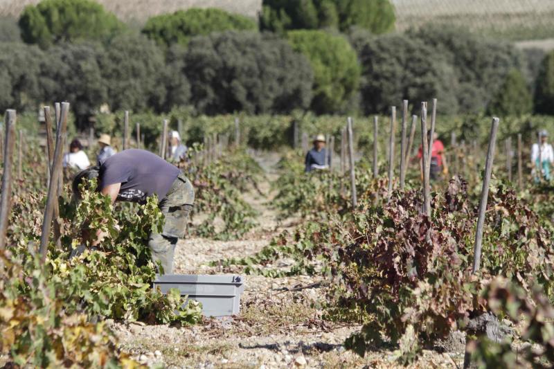 Fotos: El general Manuel Gorjón, embajador de los vinos de Dehesa de los Canónigos