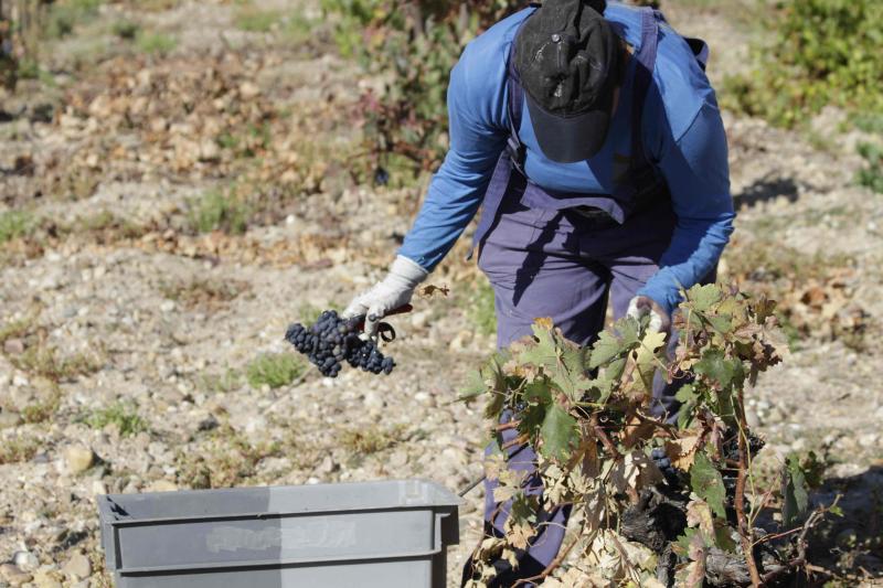 Fotos: El general Manuel Gorjón, embajador de los vinos de Dehesa de los Canónigos