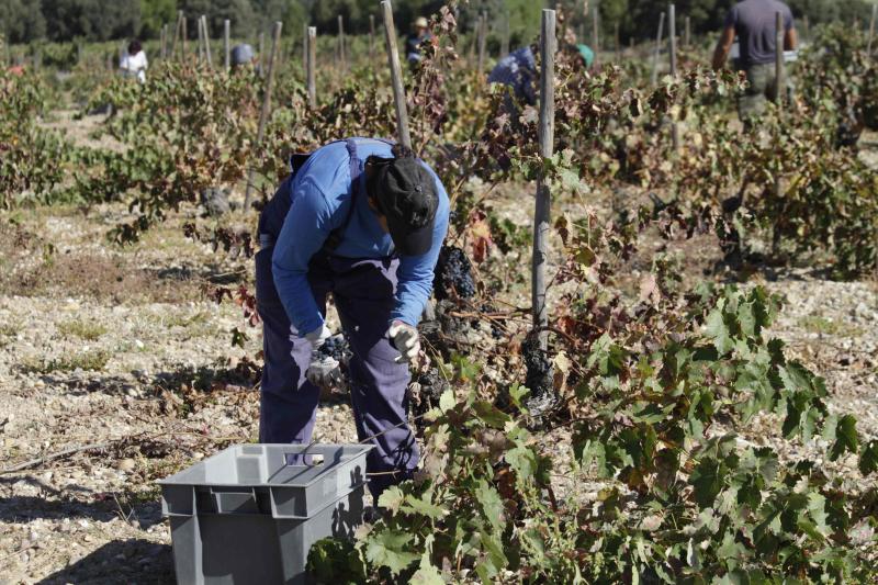 Fotos: El general Manuel Gorjón, embajador de los vinos de Dehesa de los Canónigos