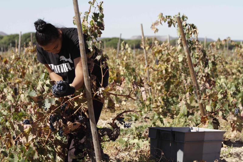 Fotos: El general Manuel Gorjón, embajador de los vinos de Dehesa de los Canónigos