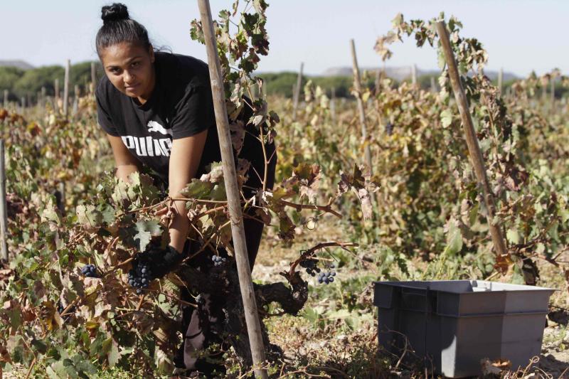 Fotos: El general Manuel Gorjón, embajador de los vinos de Dehesa de los Canónigos