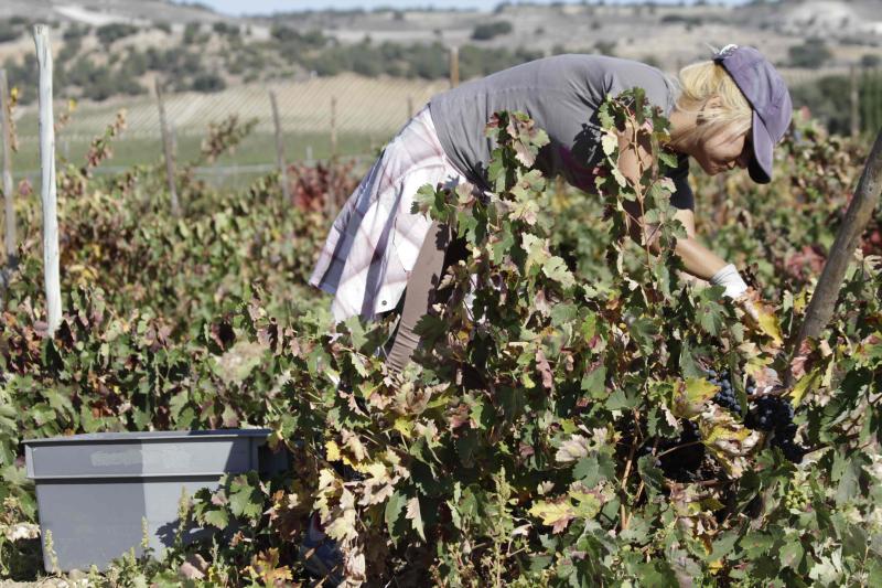 Fotos: El general Manuel Gorjón, embajador de los vinos de Dehesa de los Canónigos