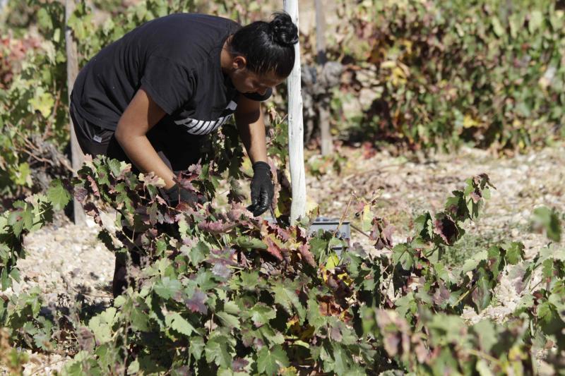 Fotos: El general Manuel Gorjón, embajador de los vinos de Dehesa de los Canónigos