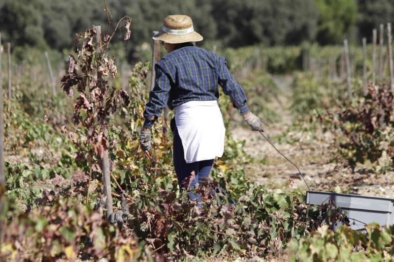 Fotos: El general Manuel Gorjón, embajador de los vinos de Dehesa de los Canónigos