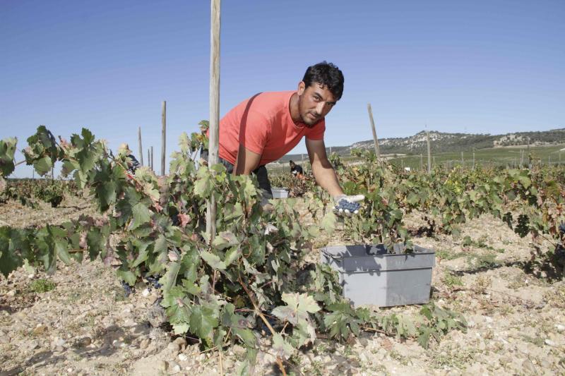 Fotos: El general Manuel Gorjón, embajador de los vinos de Dehesa de los Canónigos