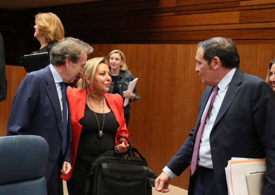 Pleno en las Cortes de Castilla y León