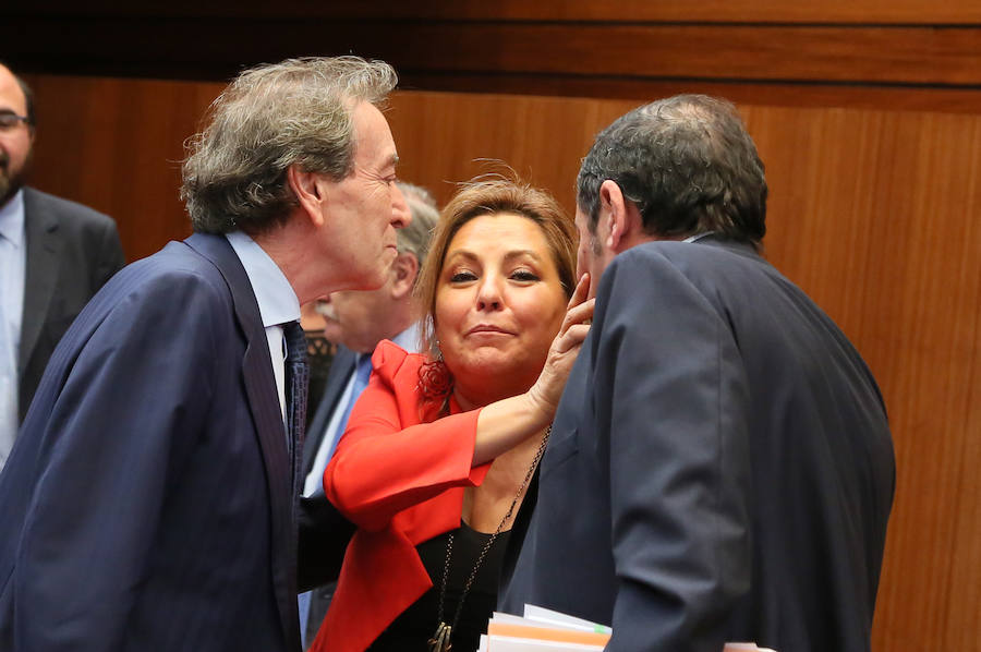 Pleno en las Cortes de Castilla y León