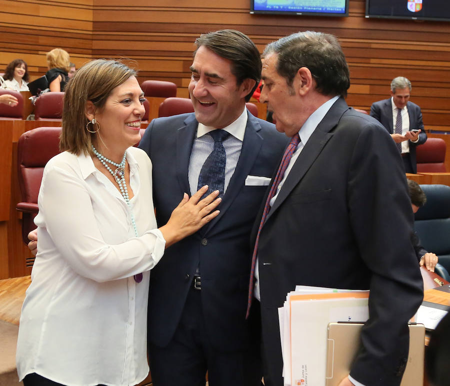 Pleno en las Cortes de Castilla y León