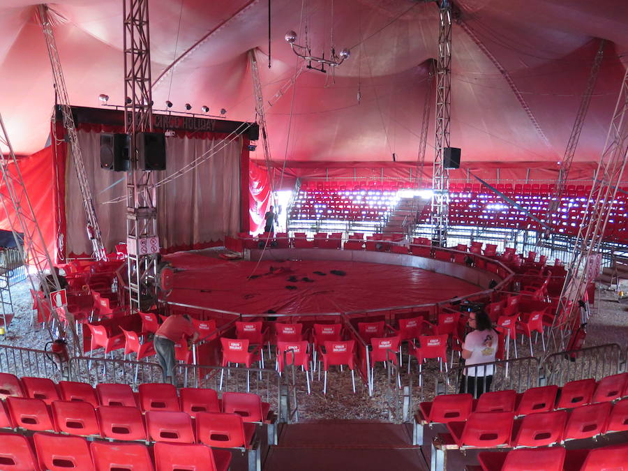 Pasen a ver el circo