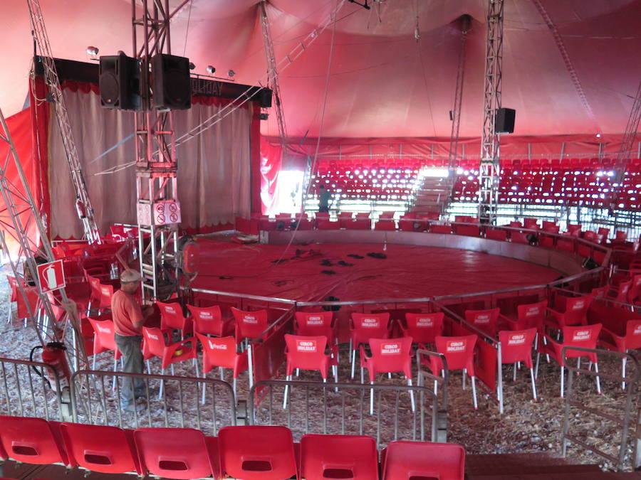 Pasen a ver el circo