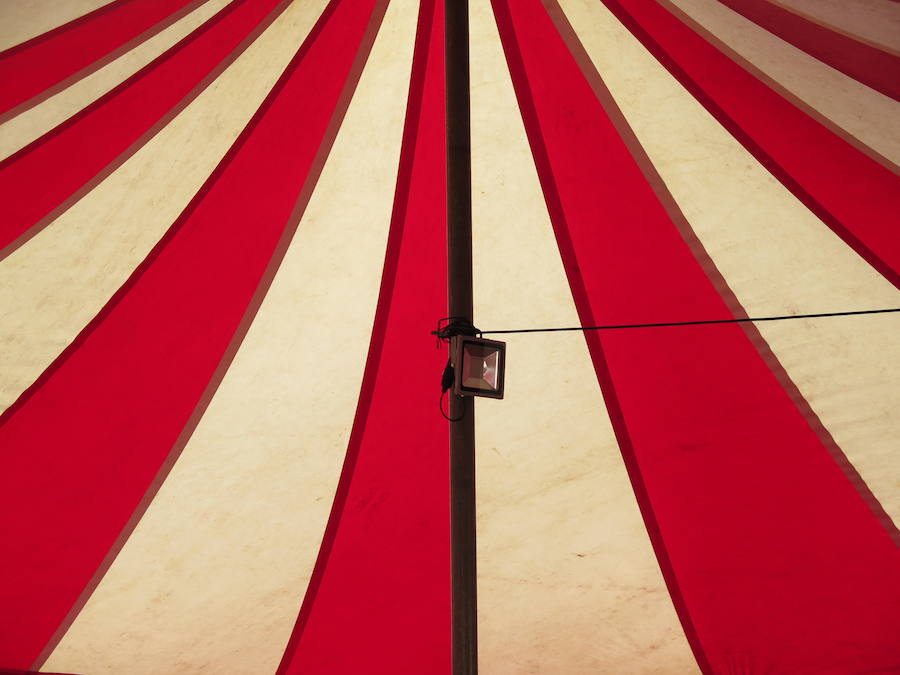 Pasen a ver el circo