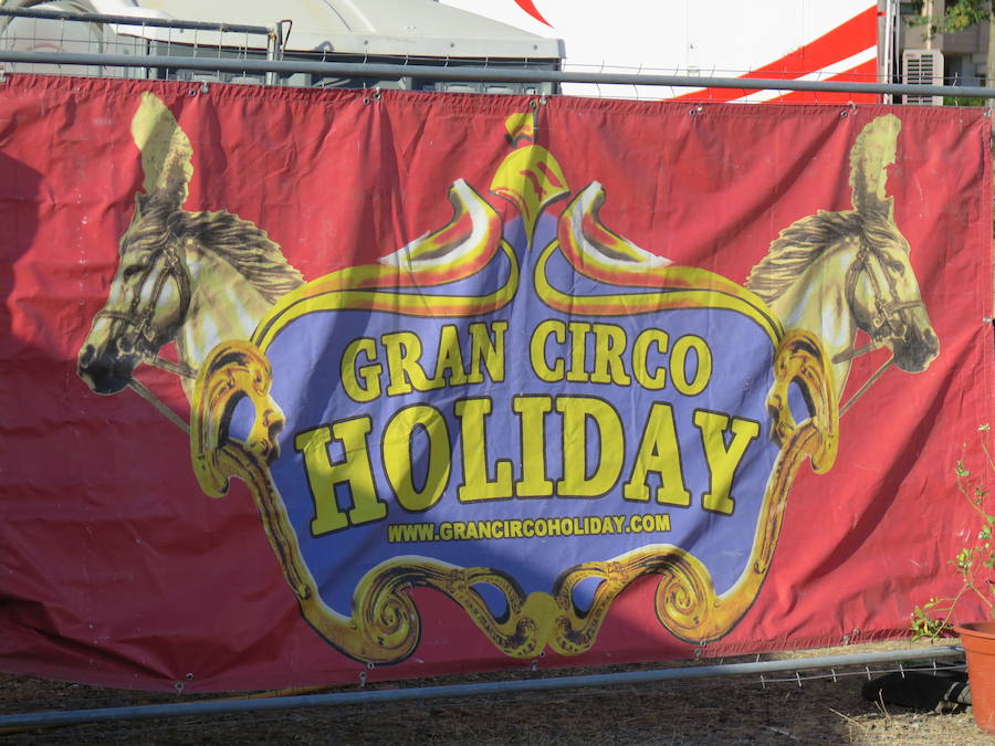 Pasen a ver el circo