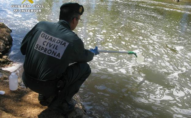 Vertidos en el río Tuerto producidos este verano.