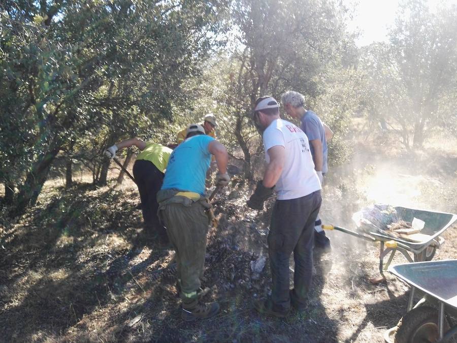 Facendera en el Monte Iglesias de La Bañeza