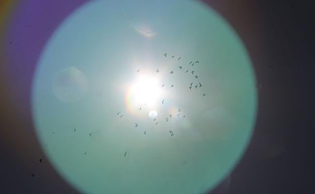 Galería. El buen tiempo acompaña las actividades.