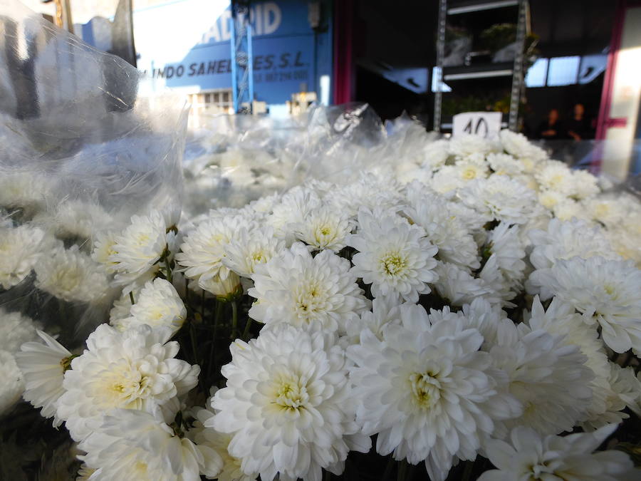 Esta floristería leonesa afronta una de las etapas con más actividad del año en su empresa y ofrecer a los leoneses el mejor asesoramiento y cercanía para poder recordar a sus seres queridos en el Día de Todos los Santos