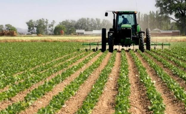 UCCL exige un seguro de sequía en regadío para dar cobertura a las casi 450.000 hectáreas «desamparadas» en Castilla y León