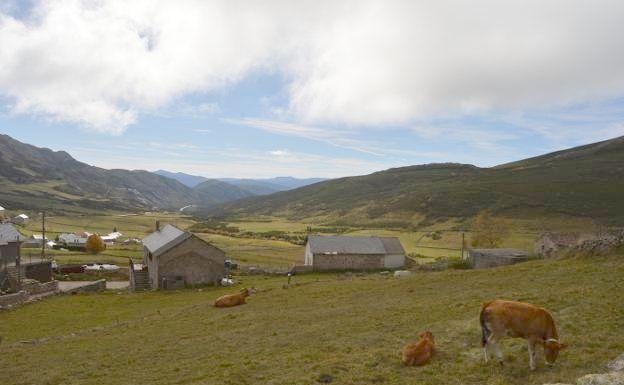 Zona de pastos. Los vecinos mantienen que siempre llevaron su ganado a los terrenos en litigio.