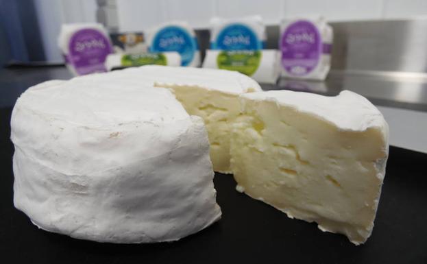 Galería. El hongo Penicillium Candidum reviste al queso con un aspecto blanco.