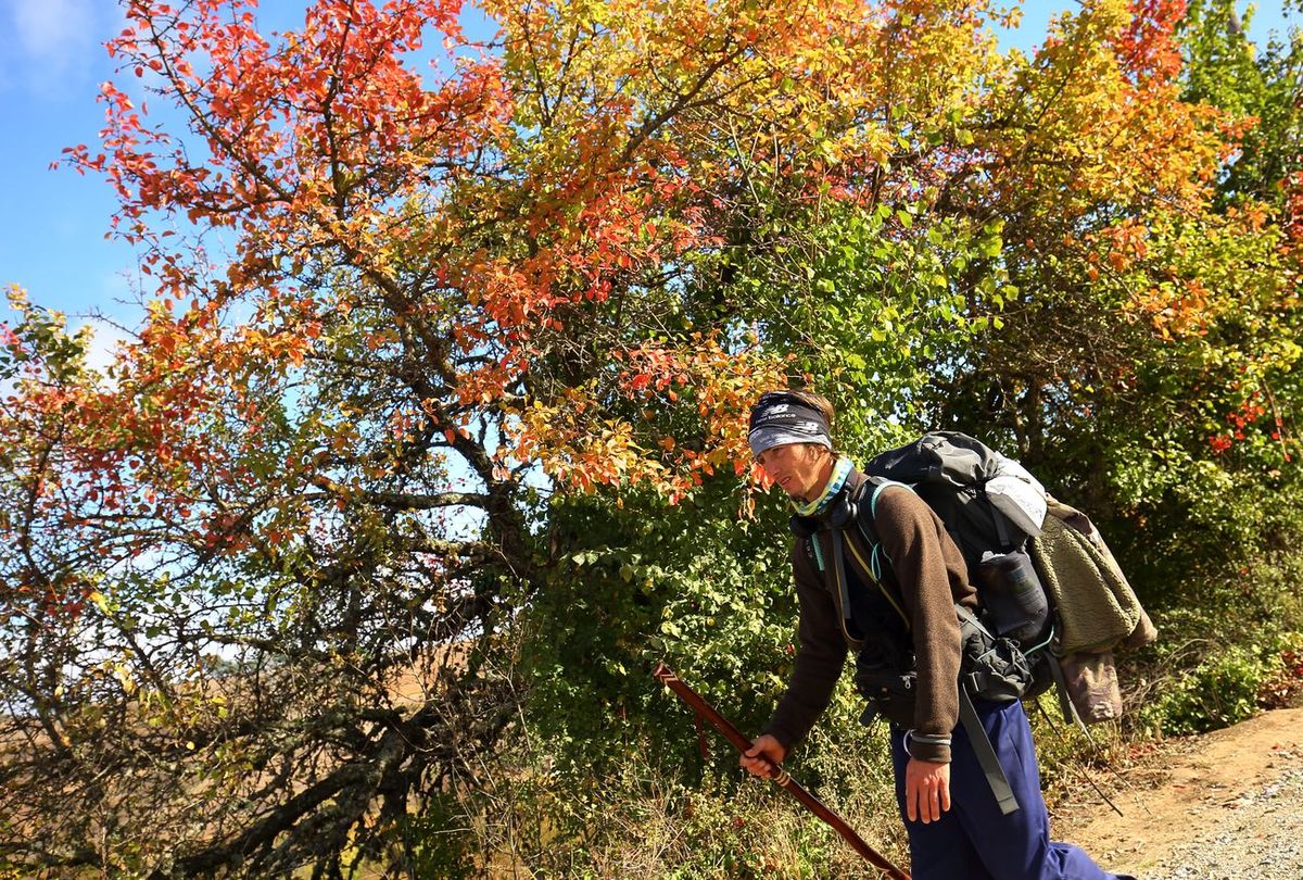 El Otoño llena de color El Bierzo.