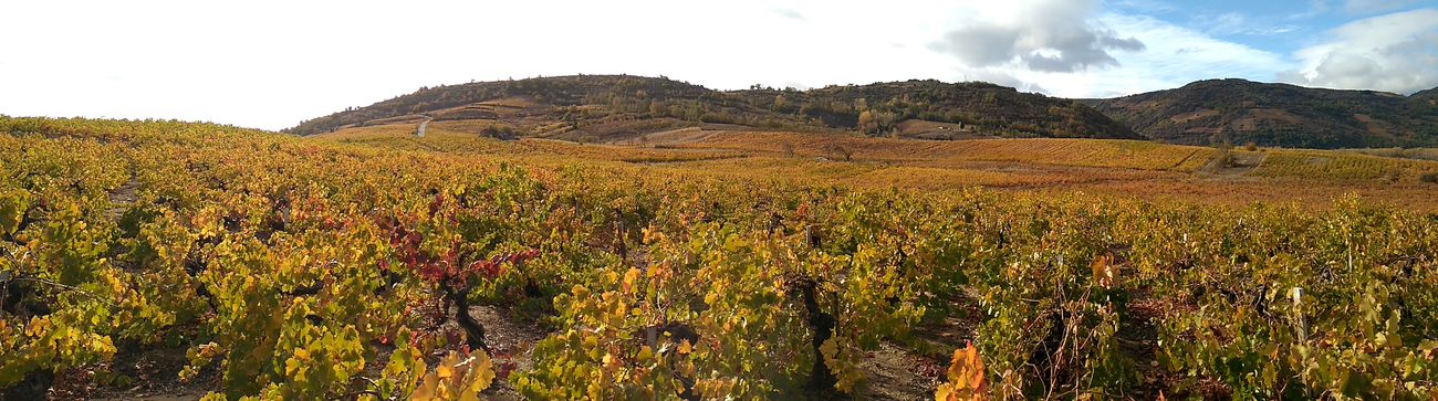 El Otoño llena de color El Bierzo.