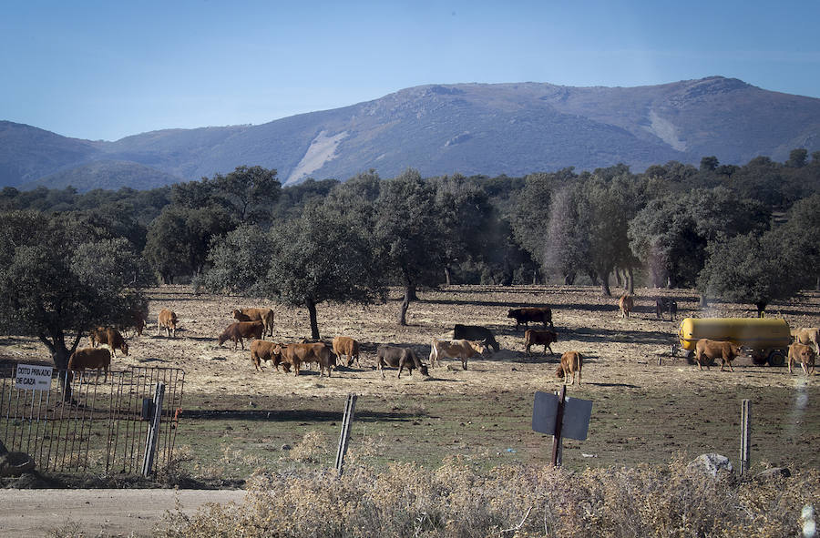 El pueblo toledano de Menasalbas ofrece en imágenes los efectos que provoca la sequía en España.