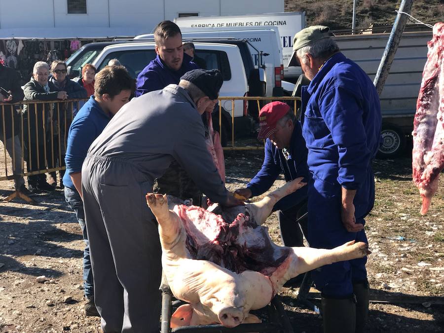 Tradicional matanza del cerdo