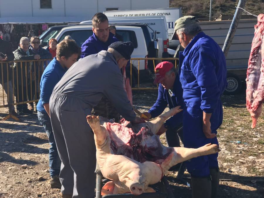 Tradicional matanza del cerdo