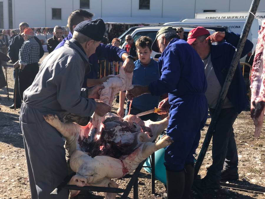 Tradicional matanza del cerdo